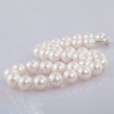 Freshwater Pearl Necklace 1003FW7