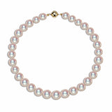 14K Gold 8-8.5mm Akoya Pearl Necklace in AAA Quality 18 Inch Princess Length