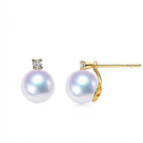 Akoya Pearl Earrings Y3035AW1
