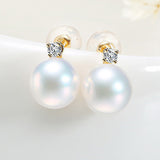 Akoya Pearl Earrings Y3035AW4