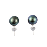 Genuine 7-9mm Tahiti Black Pearl Earrings in AAAA Quality with 18K White Gold -YONGSTRIO PEARL 3002TB