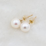 pearl earrings 3001aw